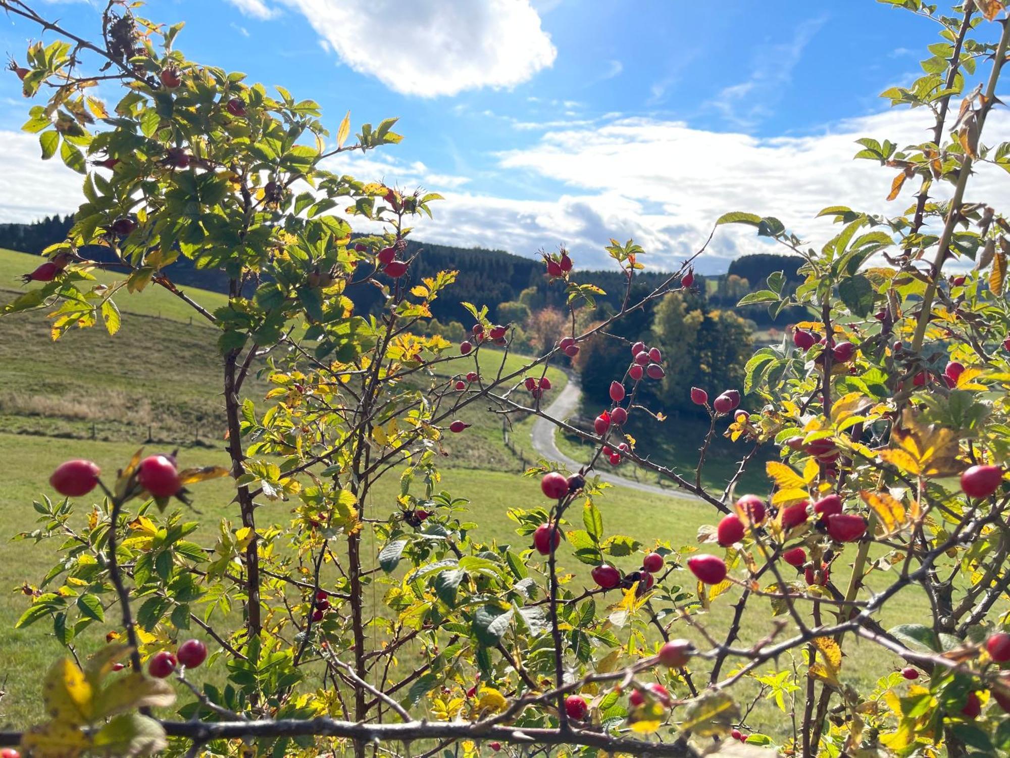 Pension Sonnenheim Winterberg Kültér fotó