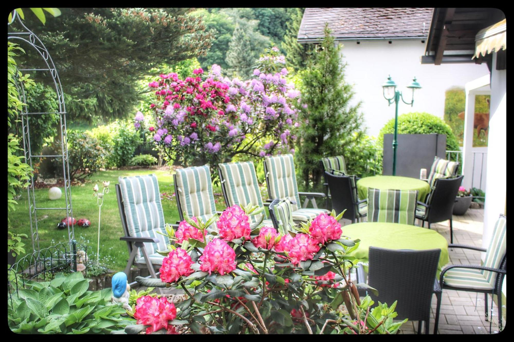 Pension Sonnenheim Winterberg Kültér fotó