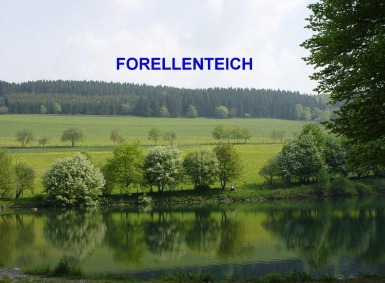 Pension Sonnenheim Winterberg Kültér fotó